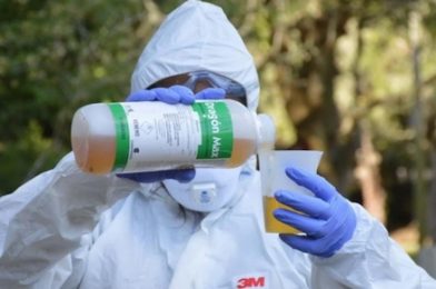 Empresas de fumigaciones en Uruguay que garantizan espacios libres de Covid-19