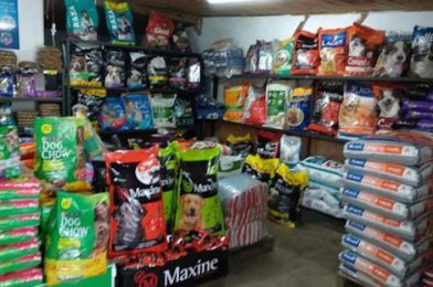 Mejores raciones para perros en el mercado novedoso en Uruguay