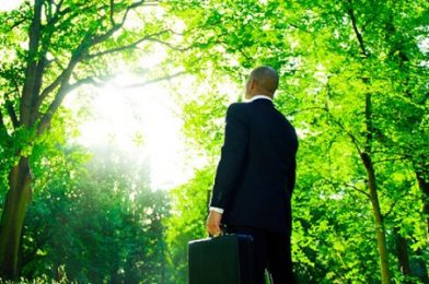 Conozca los estudios de abogados que brindan servicios de Derecho Forestal