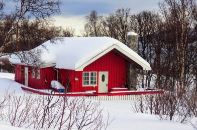 Cerveza Noruega Artesanal Un Viaje Sensorial a través de los Fiordos del Sabor