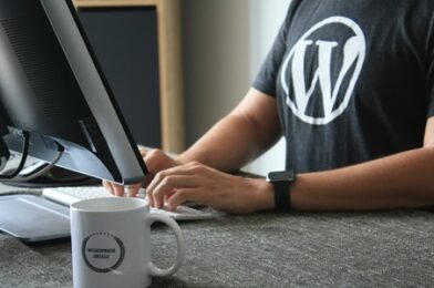Descubre las mejores opciones de hosting para WordPress