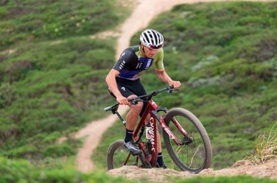 ¿Cuál es la mejor marca de bicicletas en Uruguay?