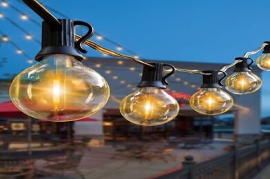 Tips para seleccionar el bulbo eléctrico ideal