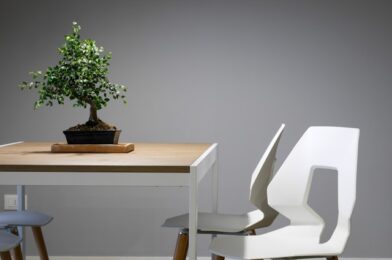 Tendencias en muebles para este 2025: colores, materiales y estilos que son tendencia