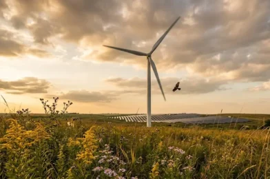 El Dilema de la Energía Verde y la cultura del excedente