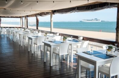 Clubes de Playa en Punta del Este: Diversión en las playas e isla